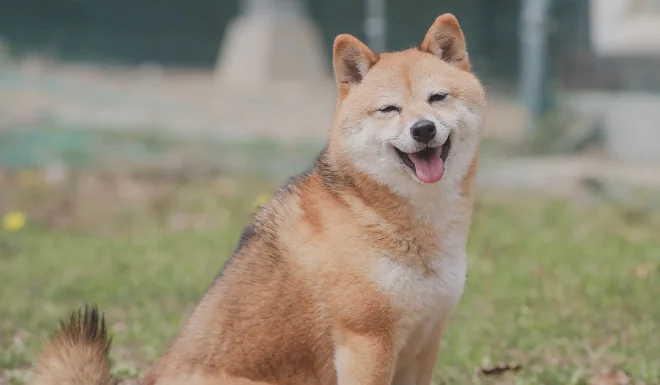 びお